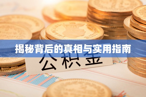 舟山新区揭秘背后的真相与实用指南