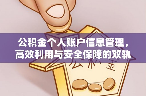 舟山新区公积金个人账户信息管理，高效利用与安全保障的双轨并行