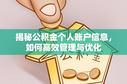 舟山新区揭秘公积金个人账户信息，如何高效管理与优化
