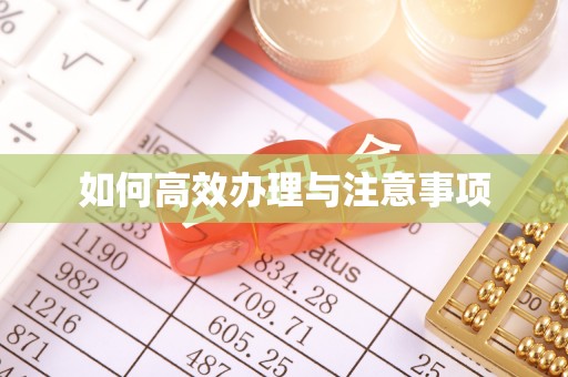 舟山新区如何高效办理与注意事项