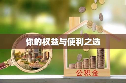舟山新区你的权益与便利之选