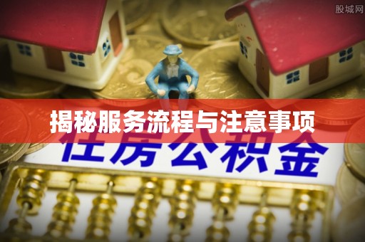 舟山新区揭秘服务流程与注意事项