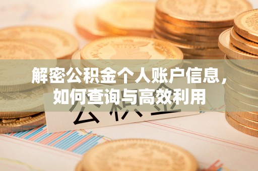 舟山新区解密公积金个人账户信息，如何查询与高效利用