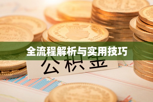 舟山新区全流程解析与实用技巧