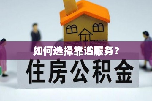 舟山新区如何选择靠谱服务？