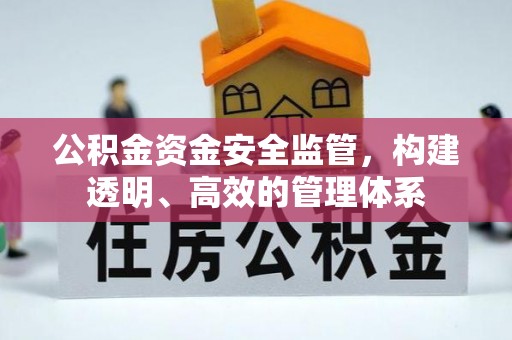 舟山新区公积金资金安全监管，构建透明、高效的管理体系
