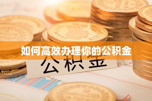 舟山新区如何高效办理你的公积金