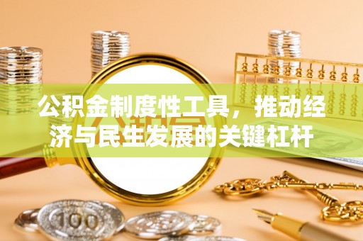 舟山新区公积金制度性工具，推动经济与民生发展的关键杠杆
