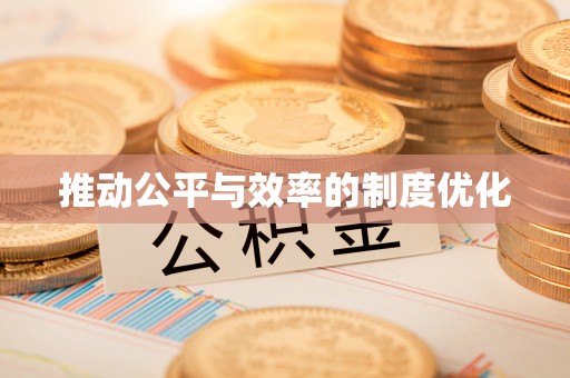 舟山新区推动公平与效率的制度优化
