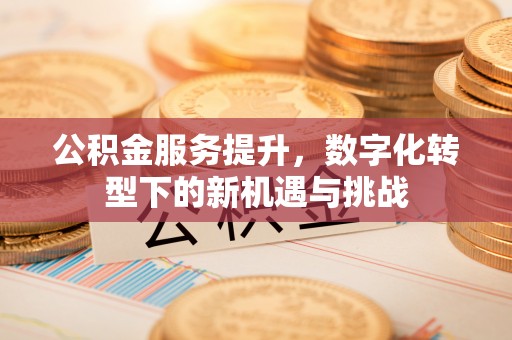 舟山新区公积金服务提升，数字化转型下的新机遇与挑战