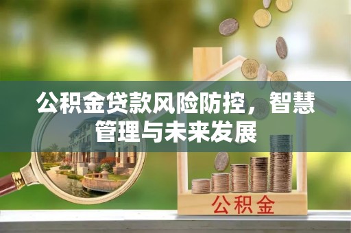 舟山新区公积金贷款风险防控，智慧管理与未来发展