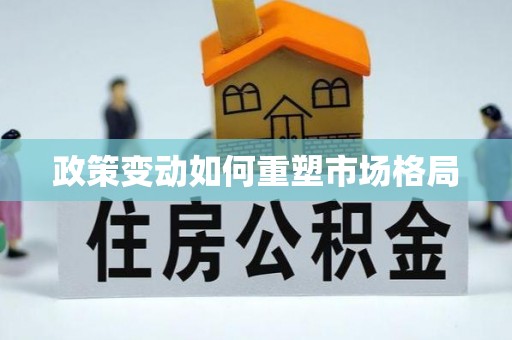 舟山新区政策变动如何重塑市场格局
