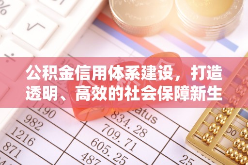 舟山新区公积金信用体系建设，打造透明、高效的社会保障新生态