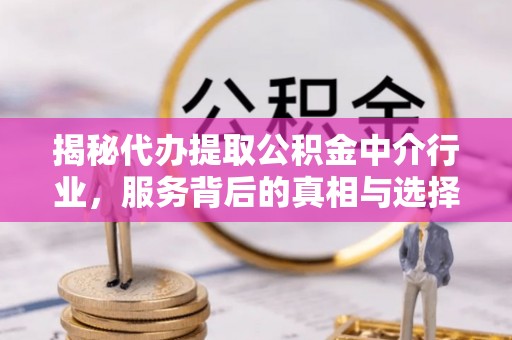 舟山新区揭秘代办提取公积金中介行业，服务背后的真相与选择指南