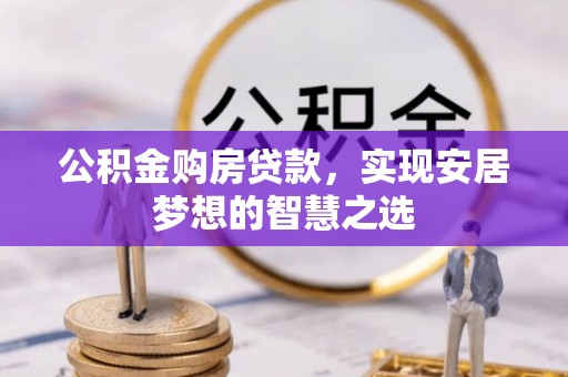 舟山新区公积金购房贷款，实现安居梦想的智慧之选