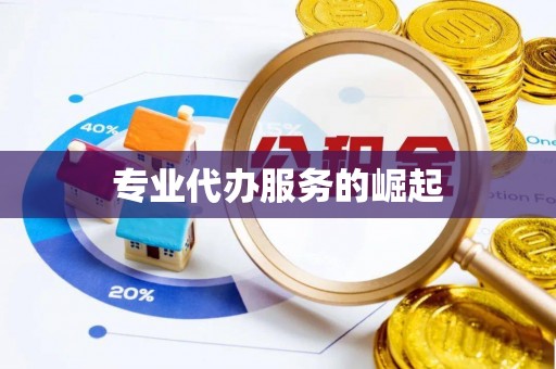 舟山新区专业代办服务的崛起