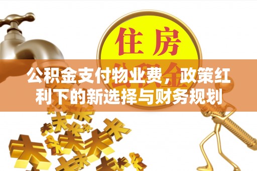 舟山新区公积金支付物业费，政策红利下的新选择与财务规划