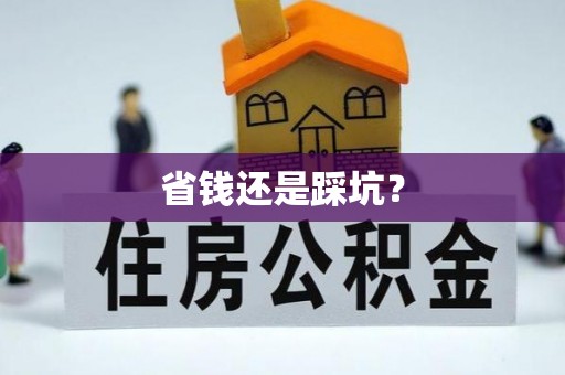 舟山新区省钱还是踩坑？