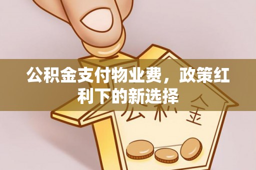 舟山新区公积金支付物业费，政策红利下的新选择