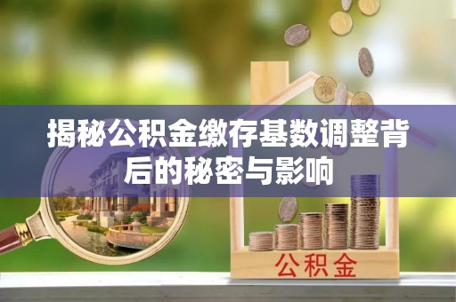 舟山新区揭秘公积金缴存基数调整背后的秘密与影响