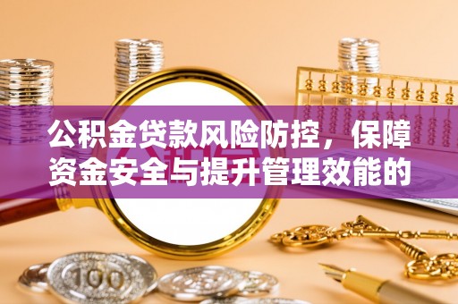 舟山新区公积金贷款风险防控，保障资金安全与提升管理效能的多维度探索
