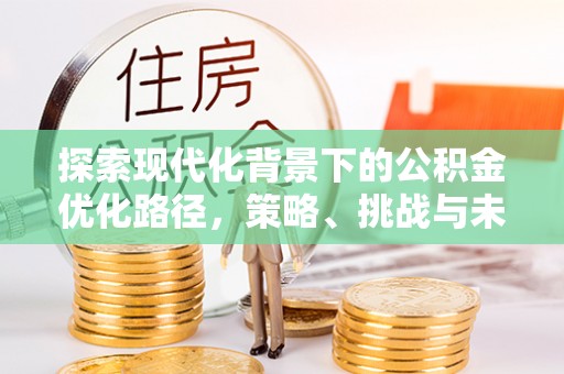 舟山新区探索现代化背景下的公积金优化路径，策略、挑战与未来展望