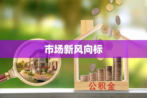 舟山新区市场新风向标