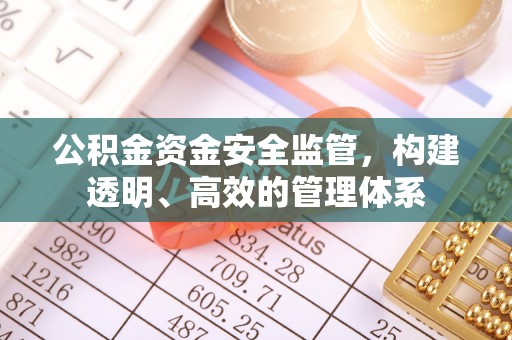 舟山新区公积金资金安全监管，构建透明、高效的管理体系
