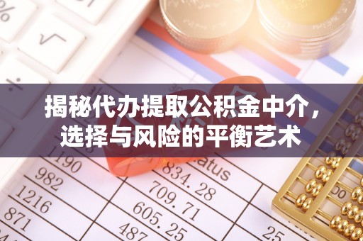 舟山新区揭秘代办提取公积金中介，选择与风险的平衡艺术