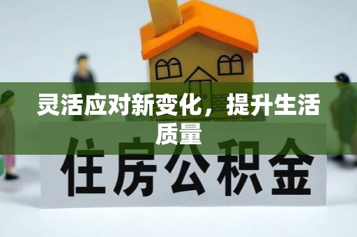 舟山新区灵活应对新变化，提升生活质量