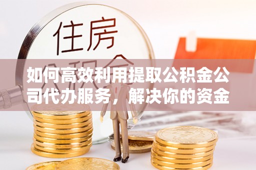 舟山新区如何高效利用提取公积金公司代办服务，解决你的资金难题