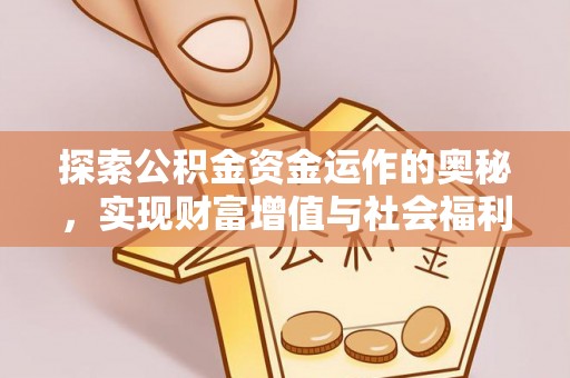 舟山新区探索公积金资金运作的奥秘，实现财富增值与社会福利双赢