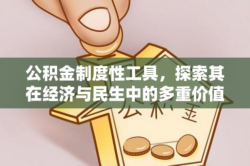 舟山新区公积金制度性工具，探索其在经济与民生中的多重价值