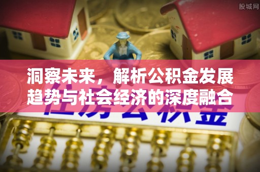 舟山新区洞察未来，解析公积金发展趋势与社会经济的深度融合