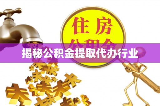 舟山新区揭秘公积金提取代办行业