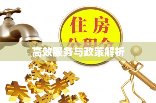 舟山新区高效服务与政策解析