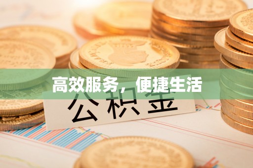 舟山新区高效服务，便捷生活