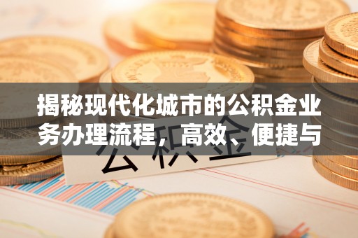 舟山新区揭秘现代化城市的公积金业务办理流程，高效、便捷与未来趋势