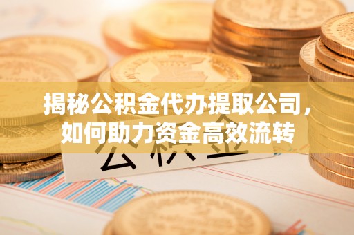 舟山新区揭秘公积金代办提取公司，如何助力资金高效流转