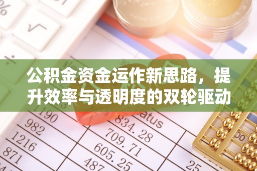 舟山新区公积金资金运作新思路，提升效率与透明度的双轮驱动