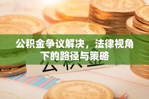 舟山新区公积金争议解决，法律视角下的路径与策略