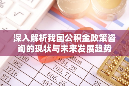 舟山新区深入解析我国公积金政策咨询的现状与未来发展趋势