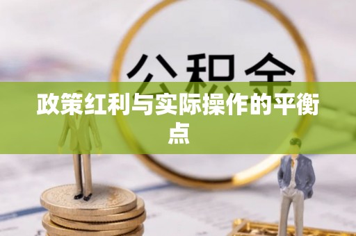 舟山新区政策红利与实际操作的平衡点