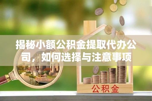 舟山新区揭秘小额公积金提取代办公司，如何选择与注意事项