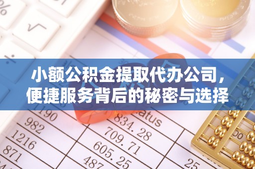 舟山新区小额公积金提取代办公司，便捷服务背后的秘密与选择指南
