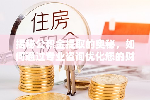 舟山新区揭秘公积金提取的奥秘，如何通过专业咨询优化您的财务规划