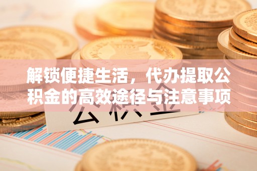 舟山新区解锁便捷生活，代办提取公积金的高效途径与注意事项