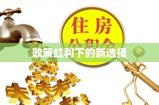 舟山新区政策红利下的新选择