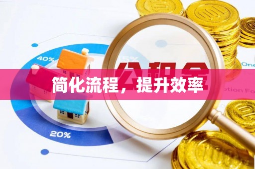舟山新区简化流程，提升效率