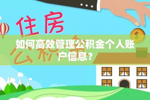 舟山新区如何高效管理公积金个人账户信息？
